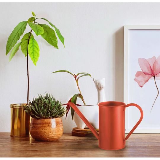 August Grove Watering Can