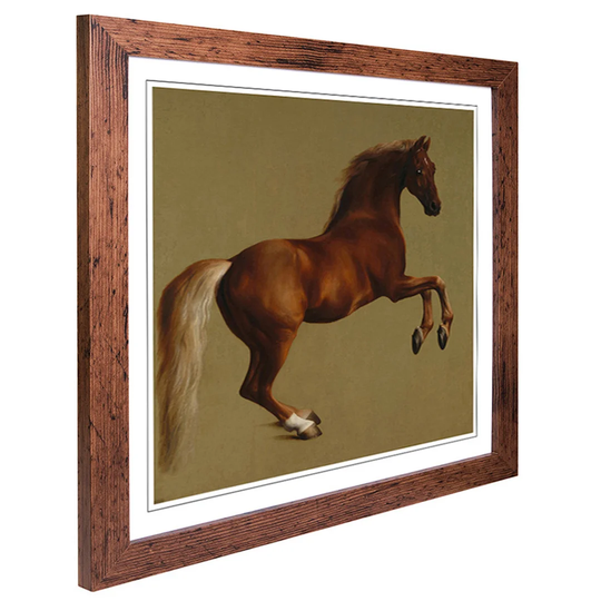 Whistlejacket Horse by George Stubbs Framed Painting Print