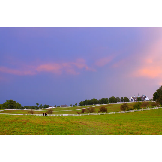 Evening At A Horse Farm