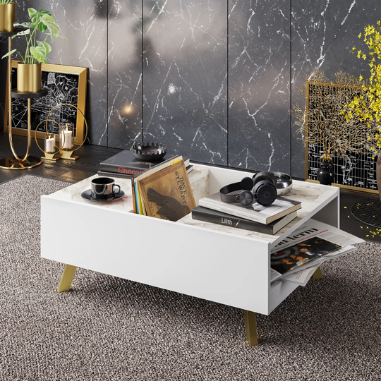 Palmyra Coffee Table with Storage