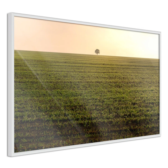 Farmland - Picture Frame Photograph Print on Paper