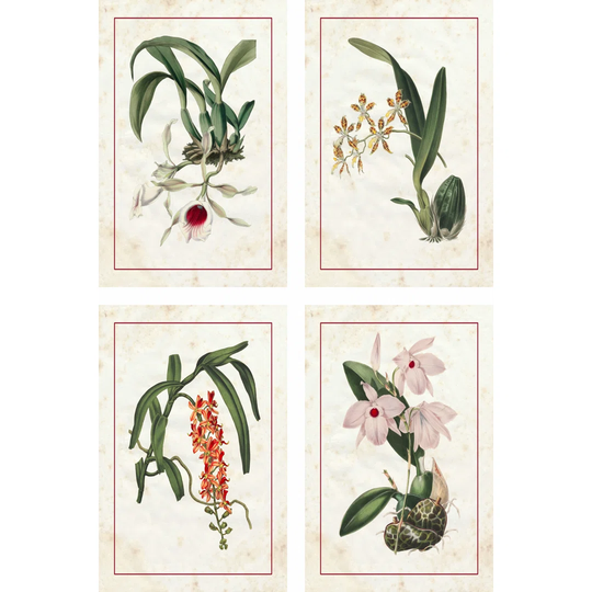 Mini Orchids - 4 Piece Wrapped Canvas Art Prints Set