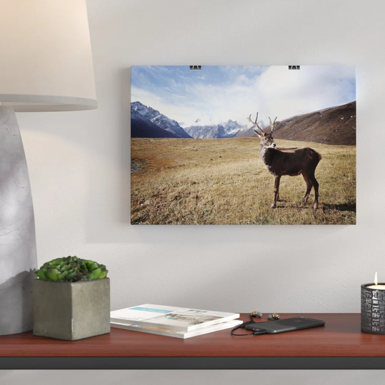 'Deer Mountain Landscape' Photographic Print