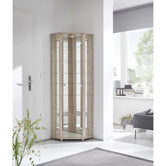 Frankmut Corner Curio Cabinet with Lighting