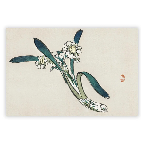 'Daffodils' by Kono Bairei - Unframed Painting Print on Paper