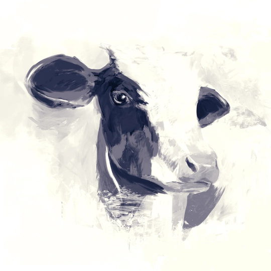 Navy Cream Cow - Wrapped Canvas Painting Print