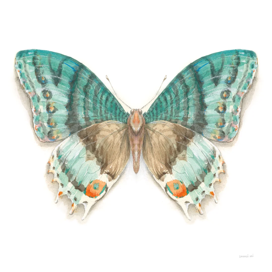 Fragile Wings Butterfly III by Danhui Nai - Wrapped Canvas Painting