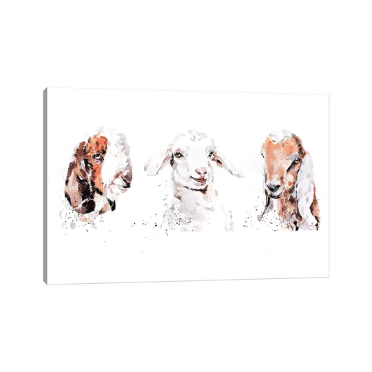 Boer Saneen and Nubian Goat Kids, the Three Kings - Painting Print on Canvas