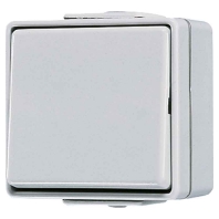 601 WOT - Off switch 1-pole surface mounted grey 601 WOT