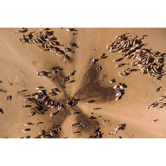 Herders Giving Their Camels Water From A Well