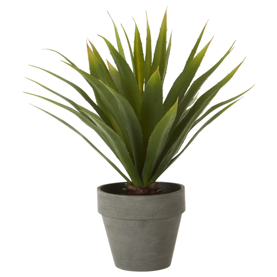 30cm Artificial Agave Plant in Pot