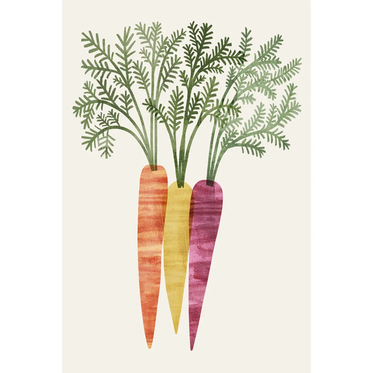Organic Veg III by Victoria Barnes - Wrapped Canvas Art Prints