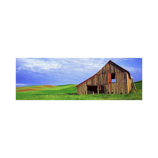 Dilapidated Barn in a Farm, Palouse, Whitman County, Washington State, USA - Wrapped Canvas Panoramic Photograph