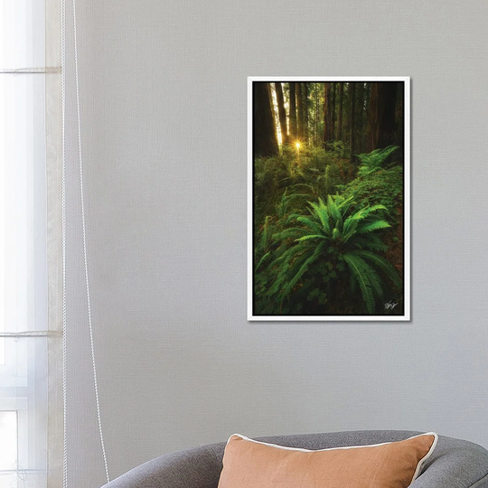 Peeking by Peter Coskun - Floater Frame Graphic Art on Canvas