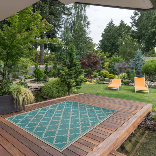Indoor/Outdoor Turquoise Rug