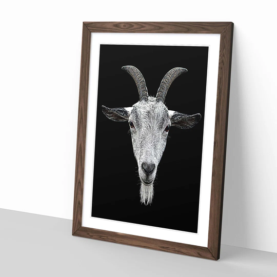 'Goat Horns' Framed Graphic Art