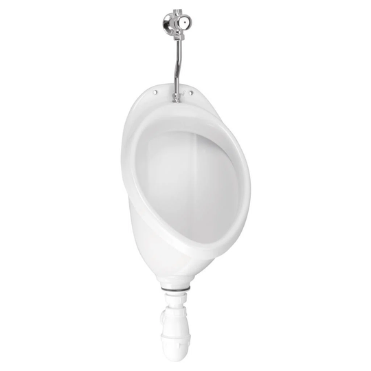 Schwenk Wall Hung Toilet and Mounting Frame with Button Flush