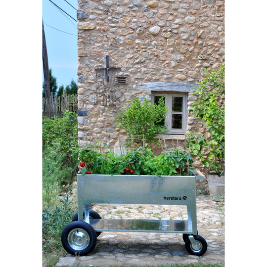 Lonoke 120cm x 60cm Metal Raised Flower Bed
