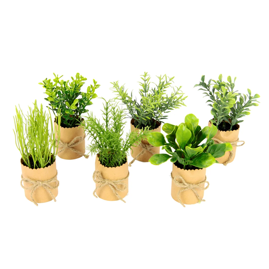 Mixed Floral Arrangement in Pot