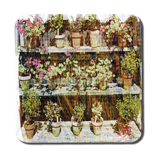 Plant Pots Coaster