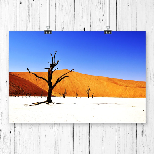 'Landscape Desert Namibia with Trees' Graphic Art