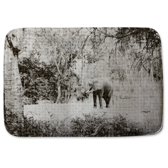 Perrin Rectangle Bath Mat