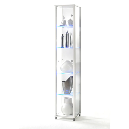 Faryll Standard Curio Cabinet with Lighting