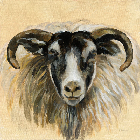 Highland Animal Ram by Silvia Vassileva - Wrapped Canvas Painting Print