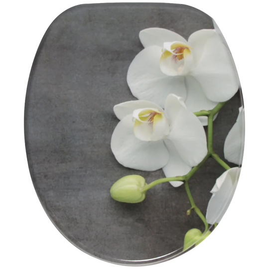 Oldenburg Round Toilet Seat Sticker