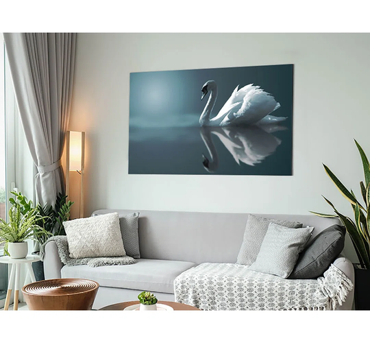 Swan Reflections - Unframed Photograph on Metal