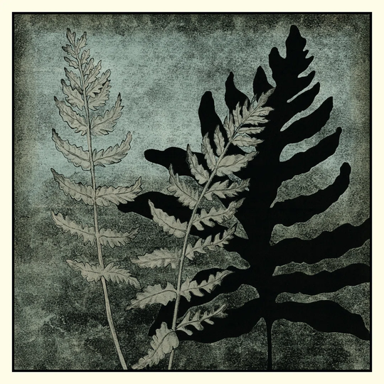 Illuminated Ferns I by Megan Meagher - Wrapped Canvas Art Prints