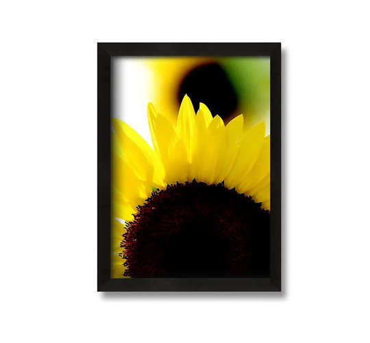 Vibrant Sunflower - Picture Frame Graphic Art on Canvas