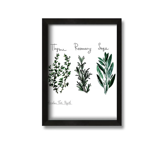 Herb Selection 3 - Picture Frame Graphic Art on Canvas