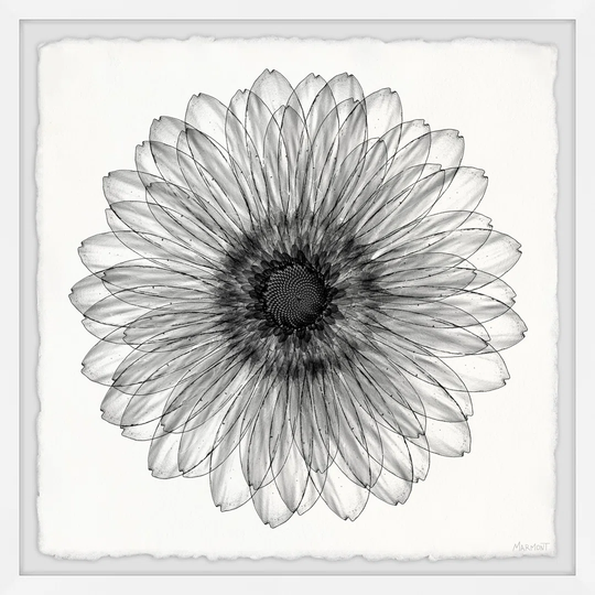 "Elegant Sunflower" Framed Painting Print