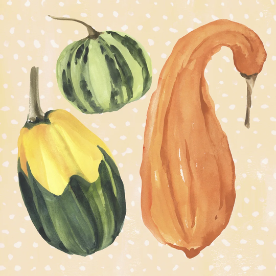 Decorative Gourd IV by Annie Warren - Wrapped Canvas Painting Print