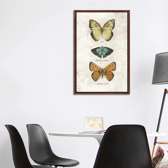 Butterflies V - Print on Canvas