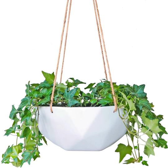 Blumfeldt Laren Hanging Basket