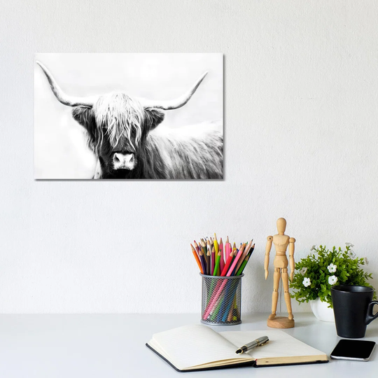 Highland Longhorn by Danita Delimont - Photograph Print on Canvas