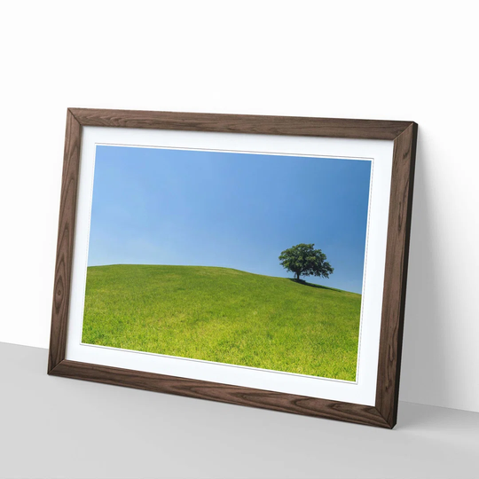 'Landscape Tree Upon a Hill' Framed Photographic Print