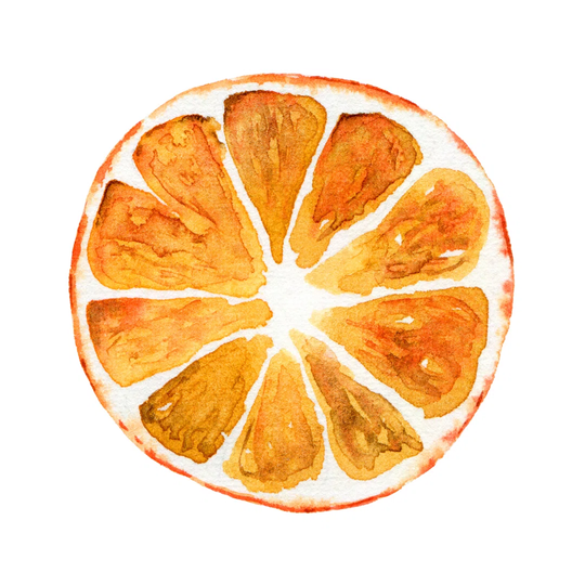 Slice of Orange Isolated on White Background - Wrapped Canvas Graphic Art