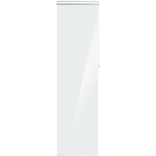 Relaxdays Bathroom Roller Blind, Shower & Bathtub, Water Repellent, Fast Drying, Ceiling & Window, 60x240cm Transparent