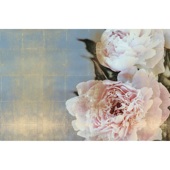Peon Photographies - Wrapped Canvas Painting