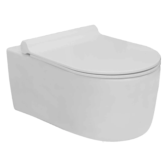Keven Fleet Wall Hung Toilet with Soft Close Seat