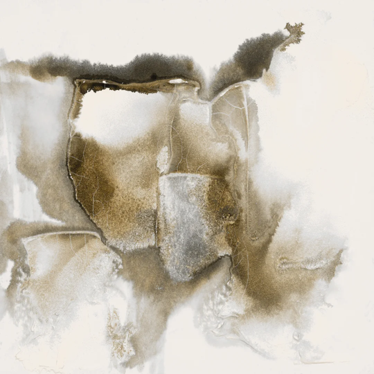 Drifting Sands II By Scherrer Finch - Wrapped Canvas Painting Print