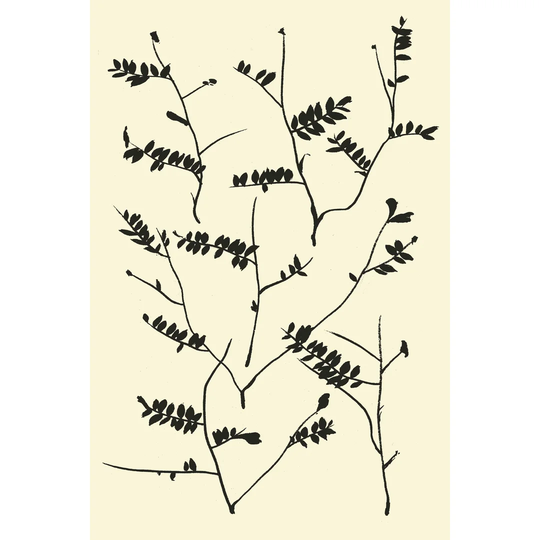 Feeling Wild II by Melissa Wang - Wrapped Canvas Painting