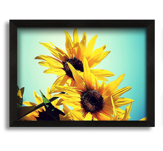 Sunflowers Against Blue Sky - Picture Frame Graphic Art on Canvas