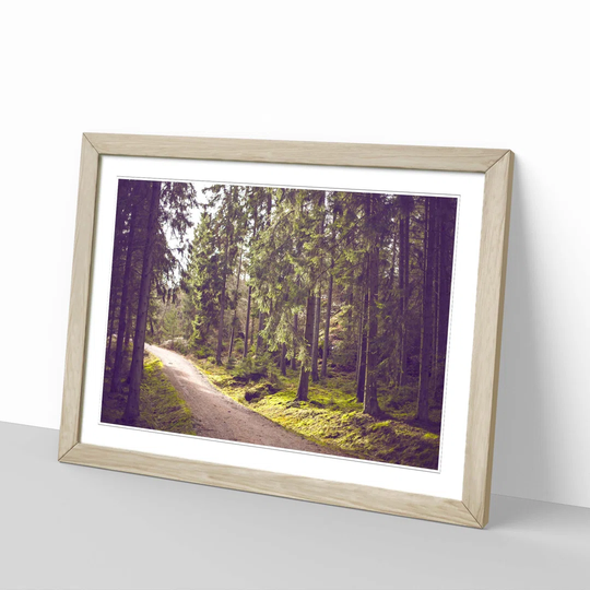 'Landscape The Green Forest 3' Framed Photographic Print