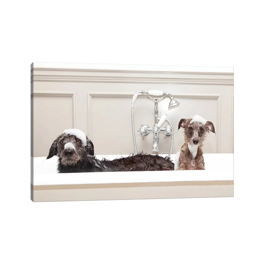 Two Funny Wet Dogs in Bathtub by Susan Schmitz - Photograph Print on Canvas