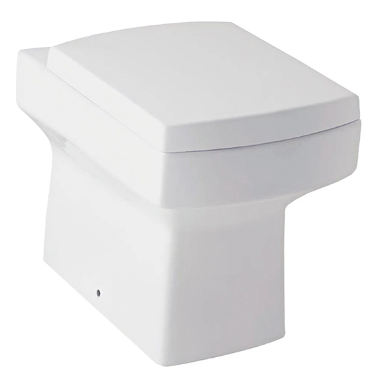 Recio Back to Wall Toilet with Dual Flush
