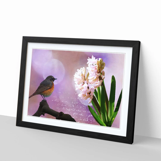 'Hyacinth Throttle Bird Pink Flower' Framed Graphic Art